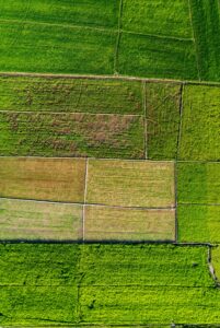 Vibrant aerial photo of lush green agricultural fields showcasing diverse land patterns in summer.